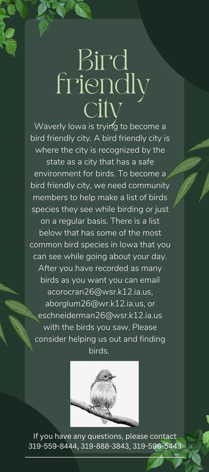 Help make Waverly a 'Bird Friendly City'! The City of Waverly